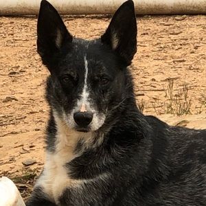 Meet your Posher, Bev